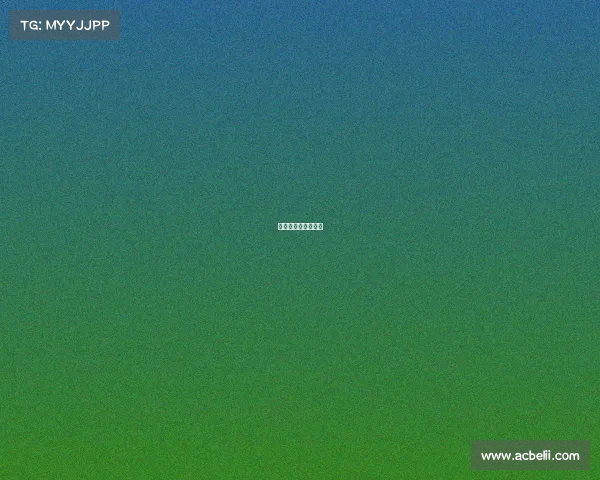 拳击赛事体系有哪些